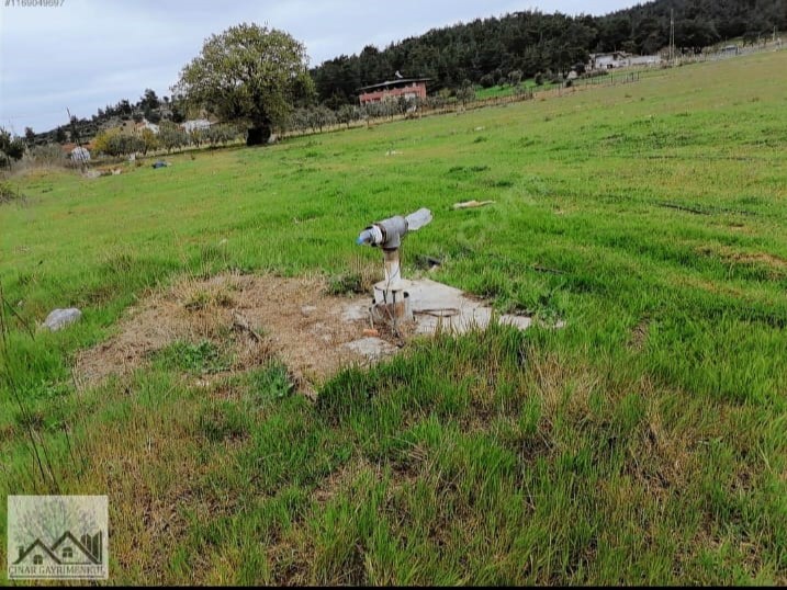 Çınar Gayrimenkul